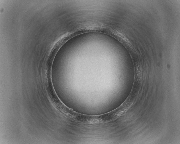 X0000078230587200611171436