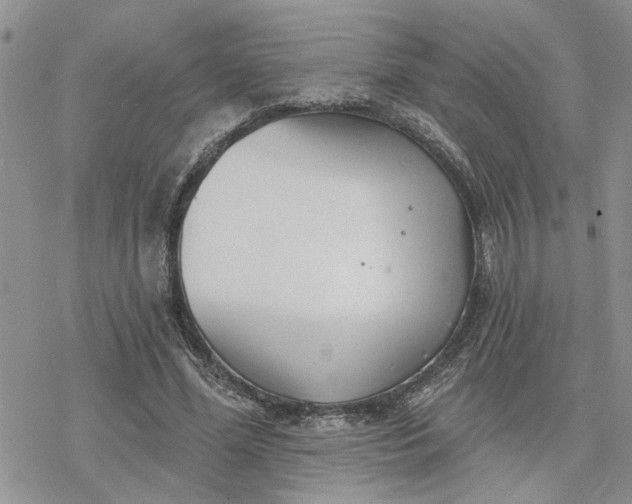 X0000078230588200611171436