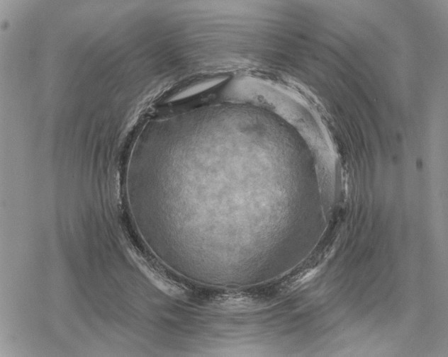 X0000078230589200611171436