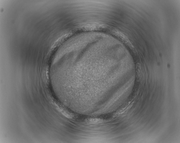 X0000078230590200611171436