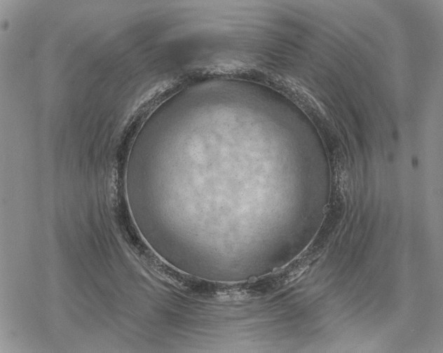 X0000078230591200611171436