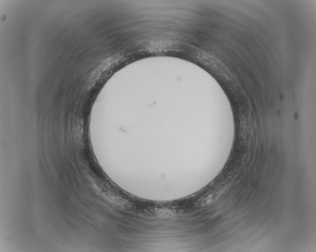 X0000078230592200611171436