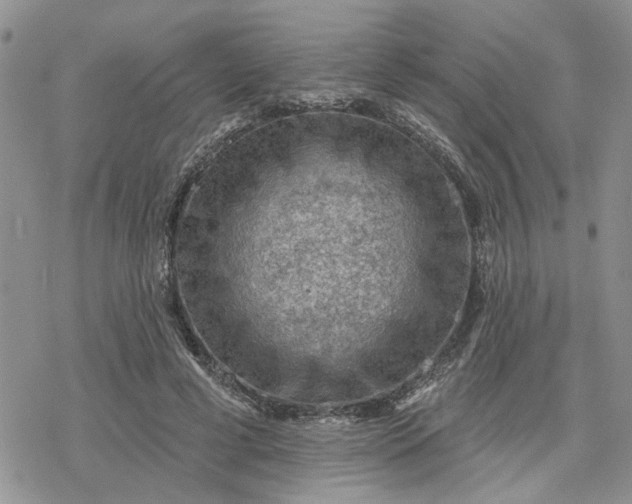 X0000078230593200611171435