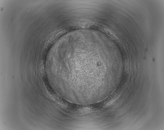 X0000078230594200611171435