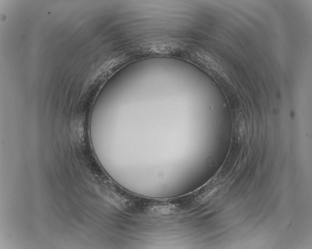 X0000078230595200611171435