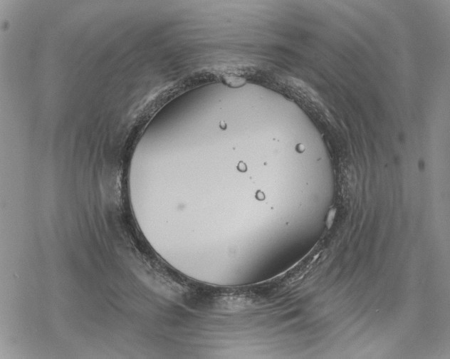 X0000078230596200611171435