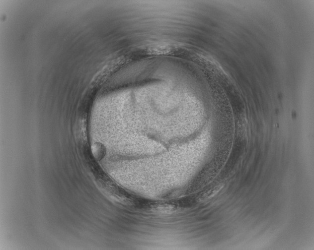 X0000078230598200611171435