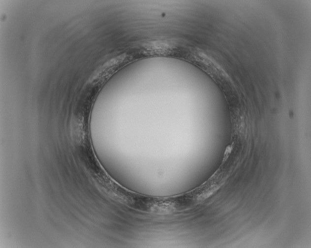 X0000078230599200611171435