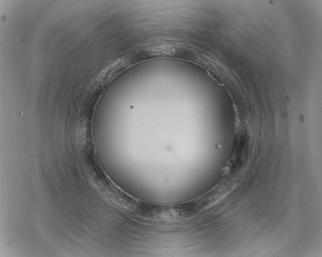 X0000078230600200611171435