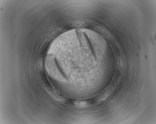 X0000078230602200611171435