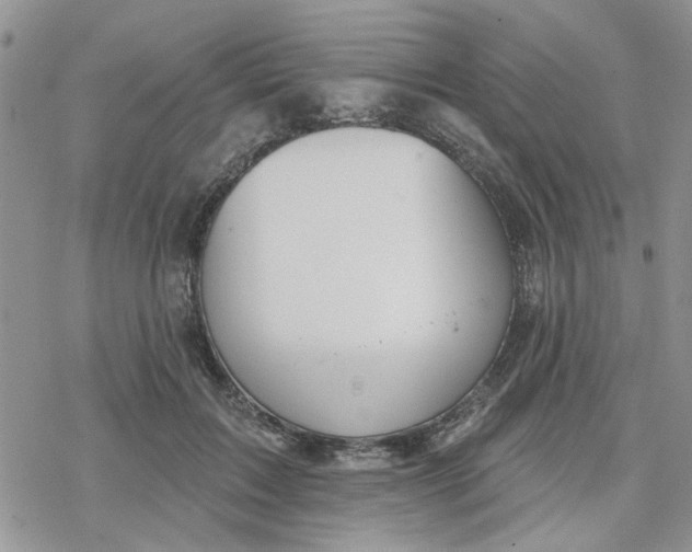 X0000078230603200611171435