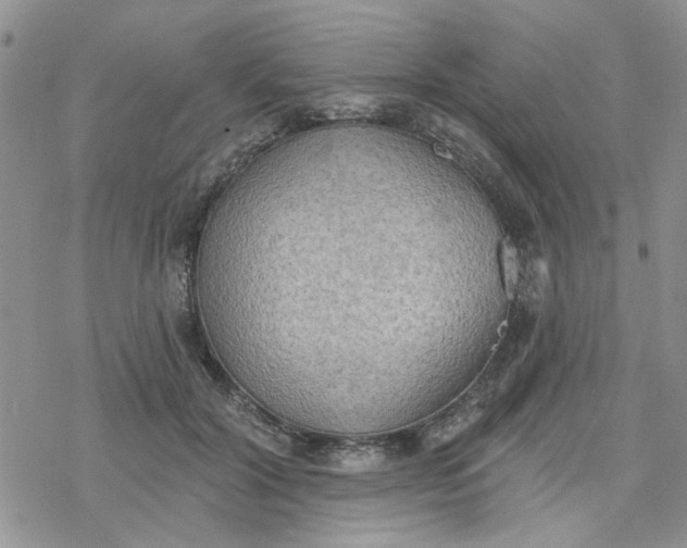 X0000078230604200611171435