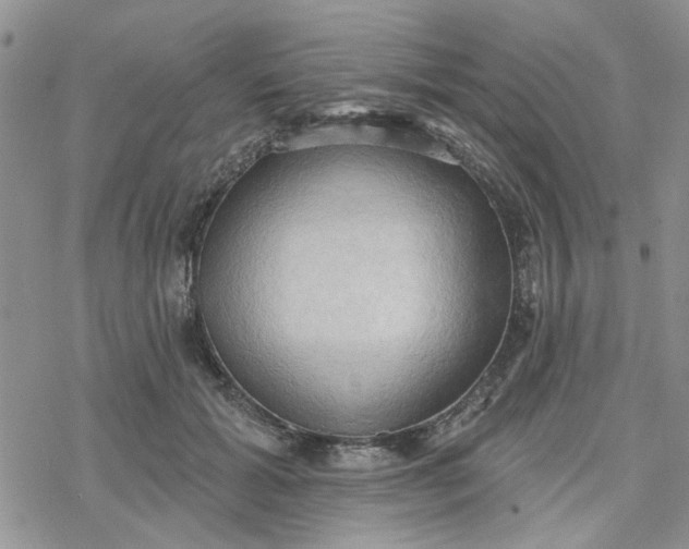 X0000078230605200611171435