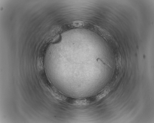 X0000078230606200611171435