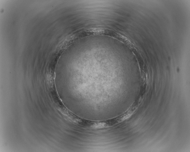 X0000078230609200611171435