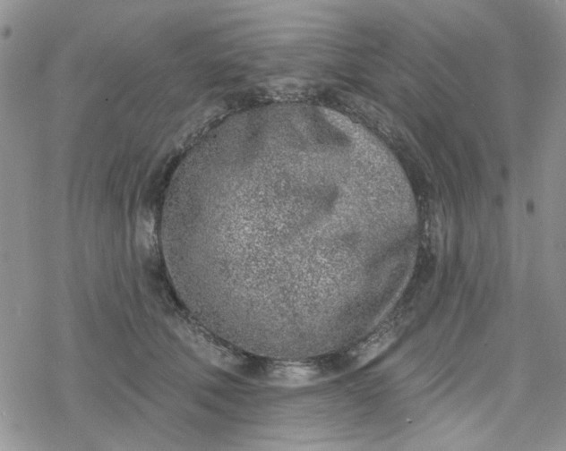 X0000078230610200611171435