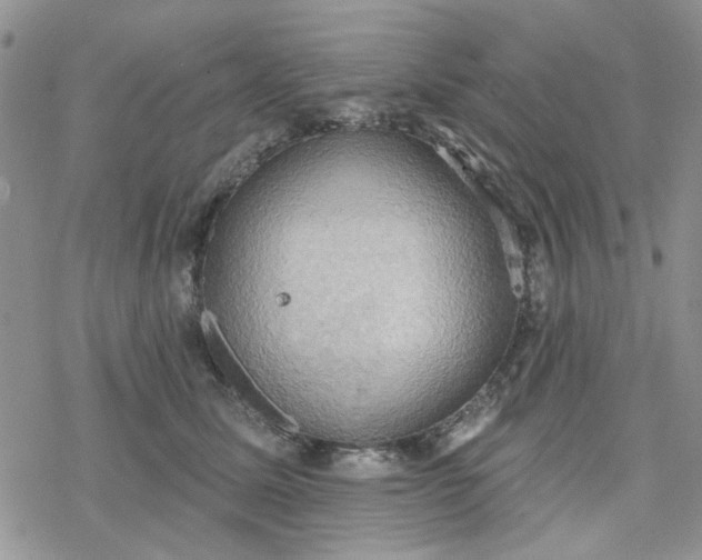 X0000078230611200611171435