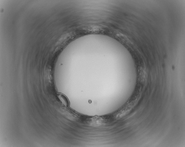 X0000078230612200611171435