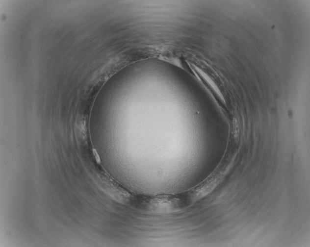 X0000078230613200611171435