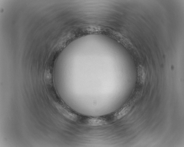 X0000078230614200611171435