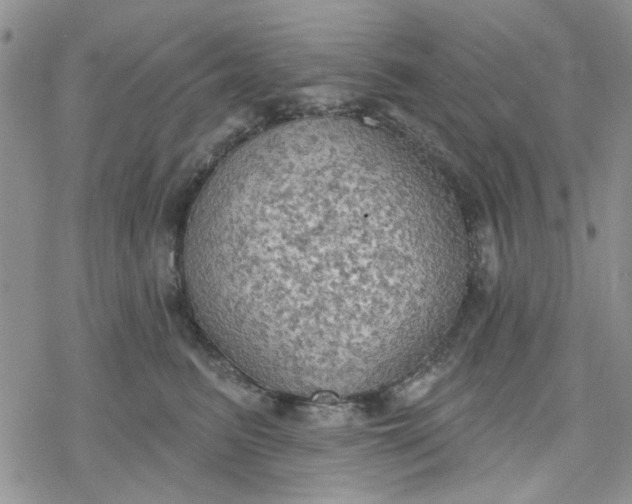 X0000078230615200611171435