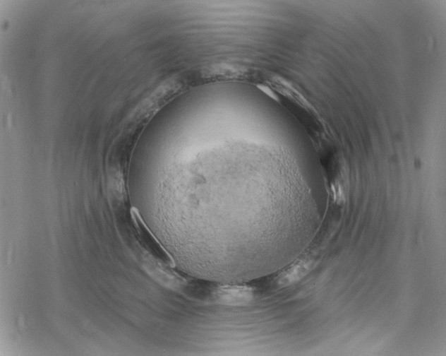 X0000078230617200611171435