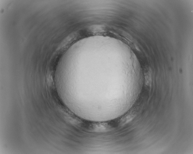 X0000078230618200611171435