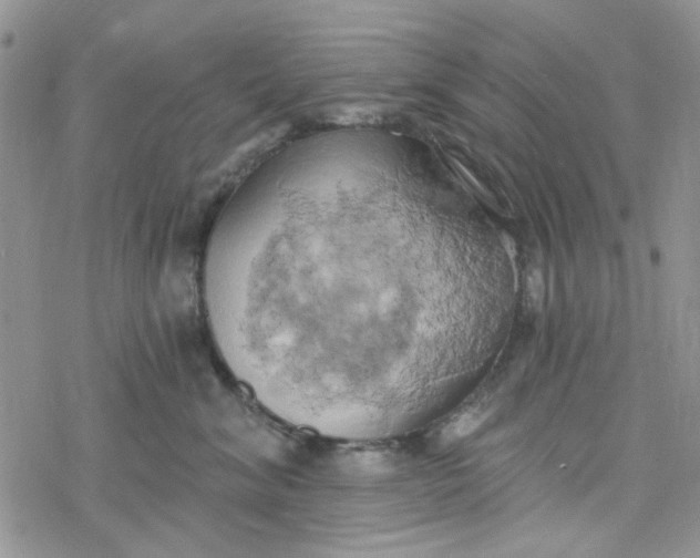 X0000078230620200611171435