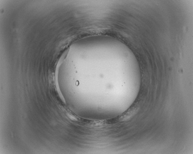 X0000078230624200611171435