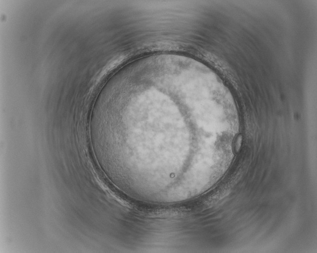 X0000078230625200611171434