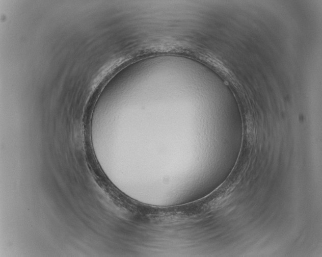 X0000078230626200611171434