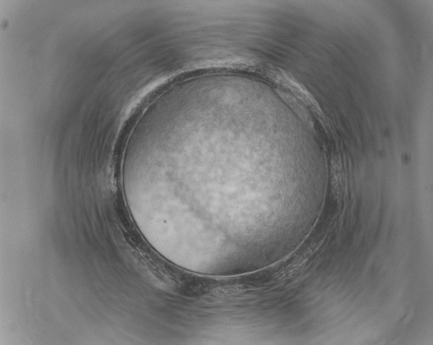 X0000078230628200611171434