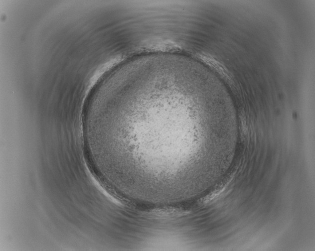 X0000078230630200611171434