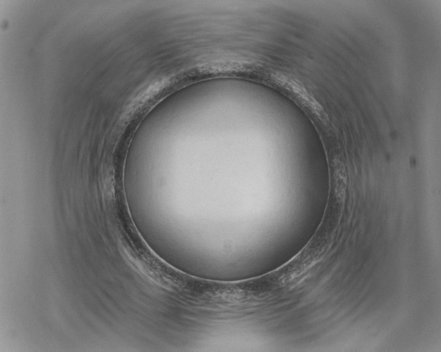 X0000078230631200611171434