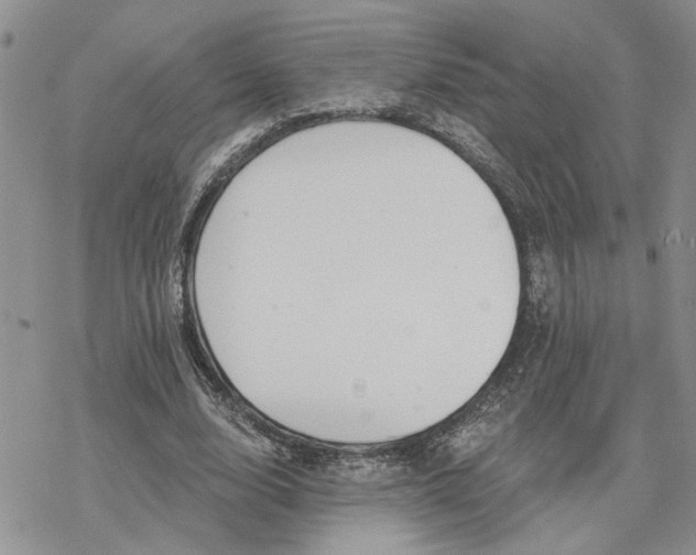 X0000078230632200611171434