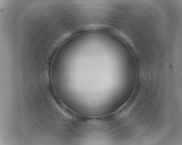 X0000078230633200611171434