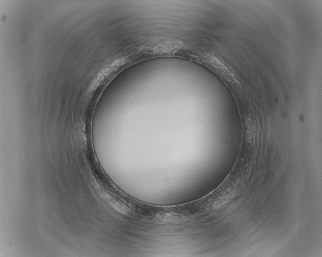 X0000078230634200611171434