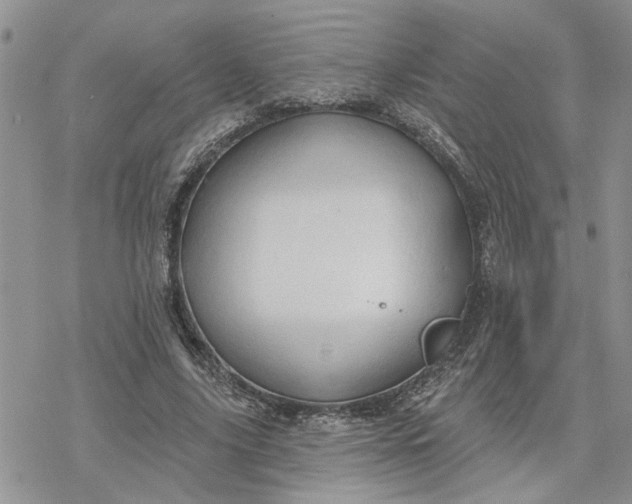 X0000078230635200611171434