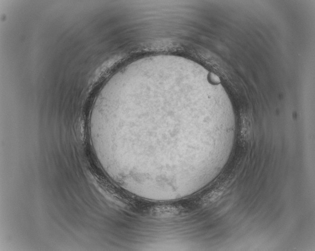 X0000078230636200611171434