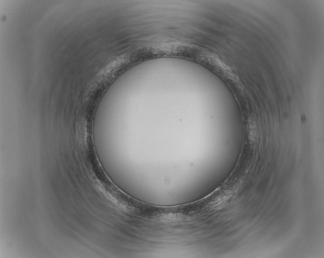 X0000078230637200611171434