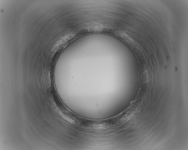 X0000078230638200611171434