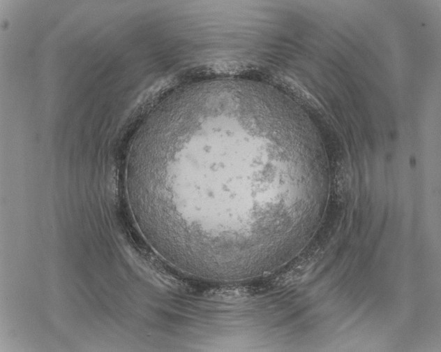 X0000078230639200611171434