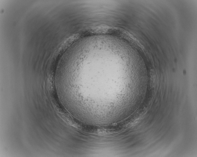 X0000078230641200611171434