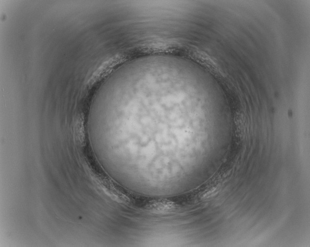 X0000078230642200611171434