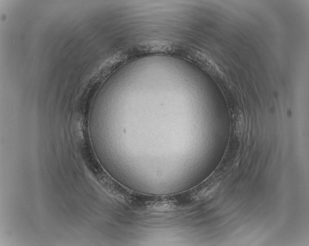 X0000078230643200611171435