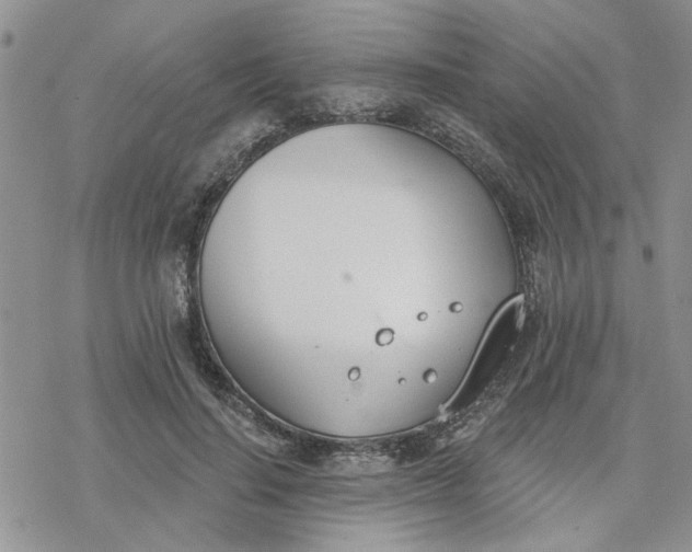 X0000078230644200611171435