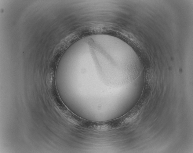 X0000078230645200611171435