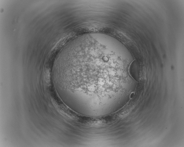 X0000078230646200611171435