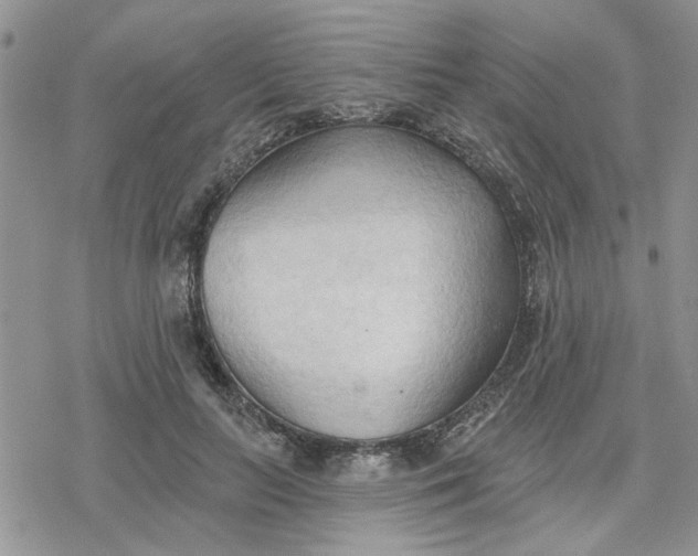 X0000078230647200611171435