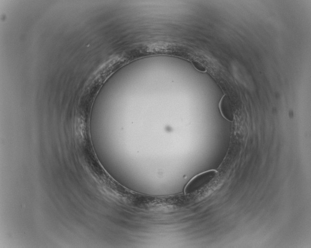 X0000078230648200611171435